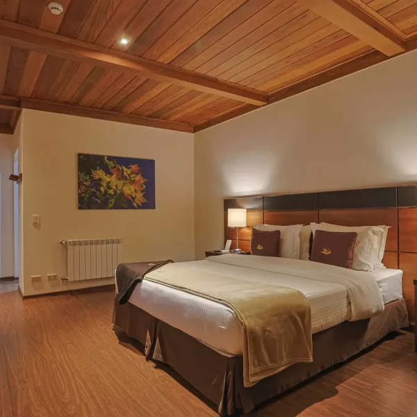 presidencial lyon (9)